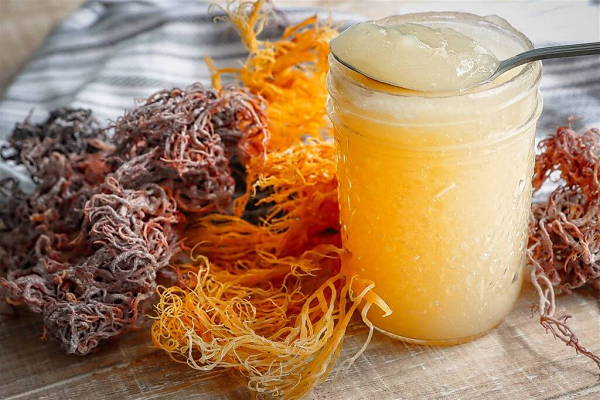 Essential Sea Moss Gel Natural Benefits You Need to Know